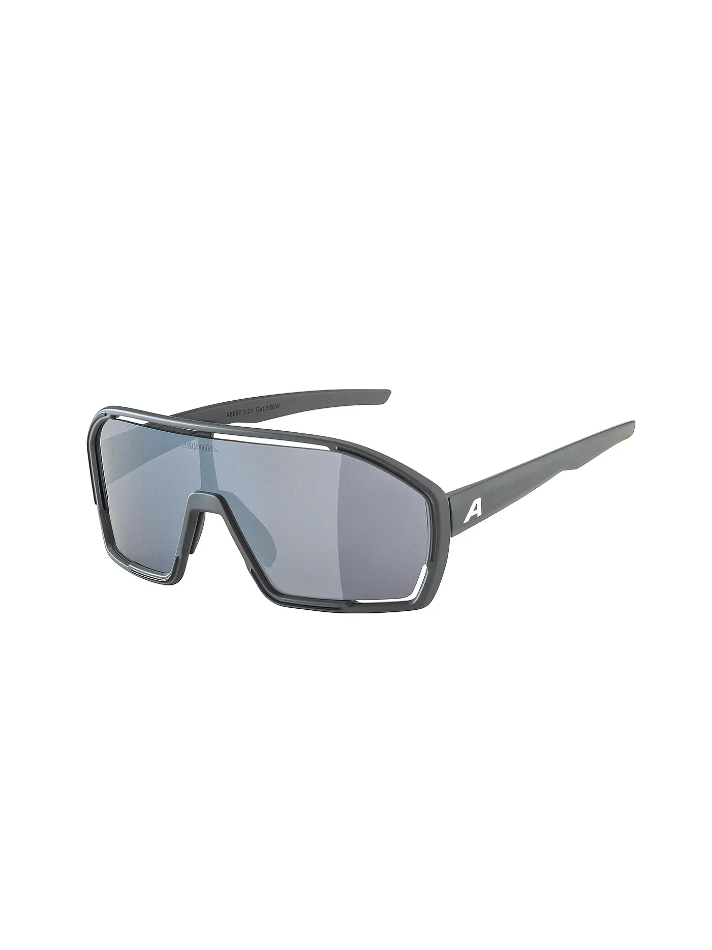 ALPINA | Herren Radbrille Bonfire | 